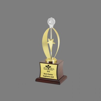 Personalized Euphoria Star Award Trophy
