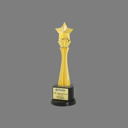 Personalized Trinity Star Award Star Trophy